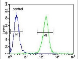 MOB1A Rabbit Polyclonal Antibody