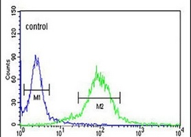 MAML3 Rabbit Polyclonal Antibody