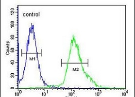 FGFBP3 Rabbit Polyclonal Antibody