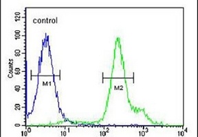 RBM24 Rabbit Polyclonal Antibody