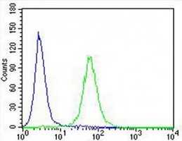 IL-24 Rabbit Polyclonal Antibody