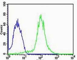 FBXL17 Rabbit Polyclonal Antibody