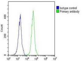 NETO2 Rabbit Polyclonal Antibody