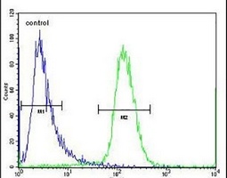 SCHIP1 Rabbit Polyclonal Antibody