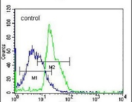RPL15 Rabbit Polyclonal Antibody