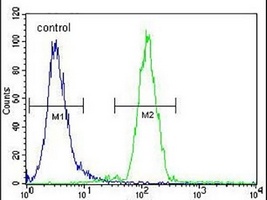 CD15 Rabbit Polyclonal Antibody