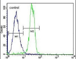 STARD6 Rabbit Polyclonal Antibody