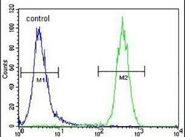 CCDC63 Rabbit Polyclonal Antibody