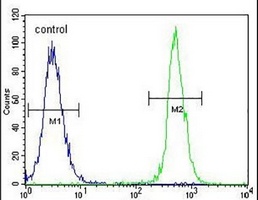 NUDT19 Rabbit Polyclonal Antibody