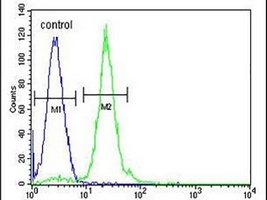 CPT1C Rabbit Polyclonal Antibody