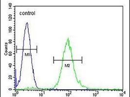 METTL10 Rabbit Polyclonal Antibody