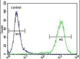 MIER2 Rabbit Polyclonal Antibody