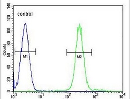 TGM6 Rabbit Polyclonal Antibody