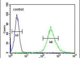 ENGASE Rabbit Polyclonal Antibody