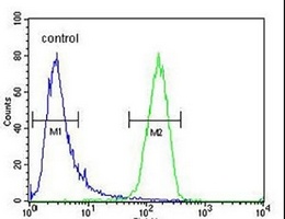 IQCJ Rabbit Polyclonal Antibody