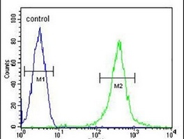 AMY2B Rabbit Polyclonal Antibody