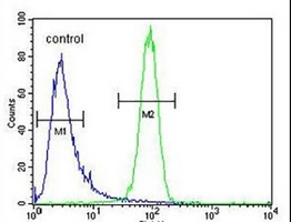 MCH Receptor 1 Rabbit Polyclonal Antibody