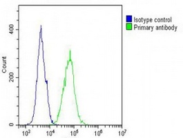 IL-12RB2 Rabbit Polyclonal Antibody