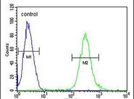 ATF7IP2 Rabbit Polyclonal Antibody