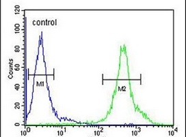 DENND1B Rabbit Polyclonal Antibody