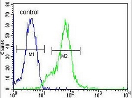 LGALS9B Rabbit Polyclonal Antibody