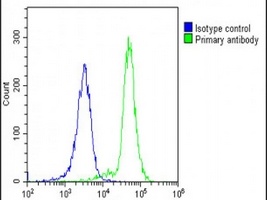 POTEE Rabbit Polyclonal Antibody
