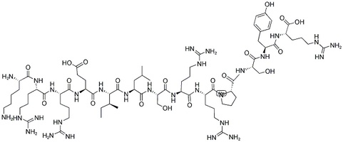 CREBtide peptide