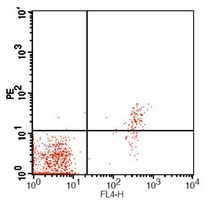 CD23 Mouse Monoclonal Antibody