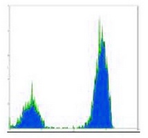 CD3 Mouse Monoclonal Antibody