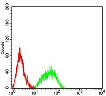 CD213a1 Mouse Monoclonal Antibody