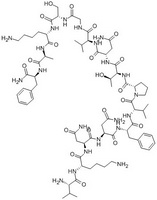 Alpha-CGRP (23-37)