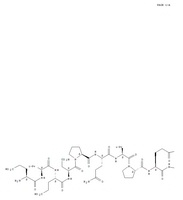 C-Peptide 1