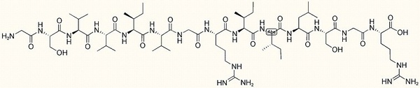 HCV peptide