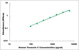 Human TNC ELISA Kit