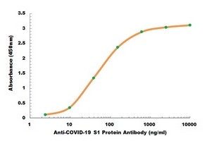COVID-19 S1 Protein Human Monoclonal Antibody