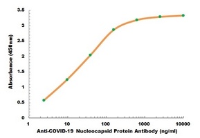 COVID-19 Nucleocapsid Protein Human Monoclonal Antibody