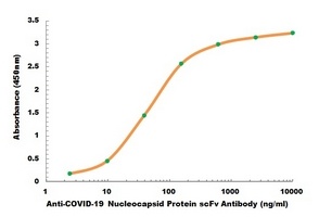 COVID-19 Nucleocapsid Protein scFv E. coli Monoclonal Antibody