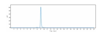 ROR1 Antibody (MMAE)