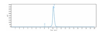 GPNMB Antibody (MMAE)
