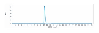 CLDN6/CLD6 Antibody