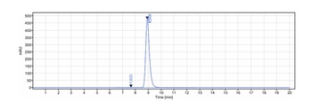 VEGFR2/KDR/CD309 Antibody