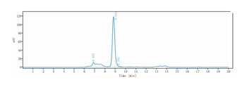 STEAP1 Antibody