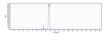 TBFbR2 Antibody