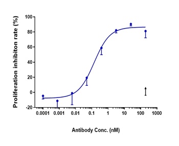 GDF15/MIC1 Antibody