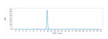 LINGO1 Antibody