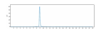 VEGFR2/KDR/CD309 Antibody