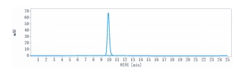 IGF1R / CD221 Reference Antibody