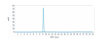 ERBB1/EGFR/HER1 Antibody