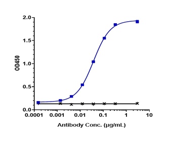 AXL/UFO Antibody