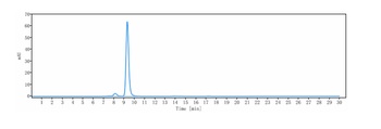 GDF8/Myostatin Antibody